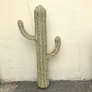 Cactus en jonc