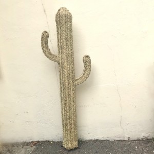 Cactus en jonc
