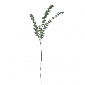 Eucalyptus artificiel